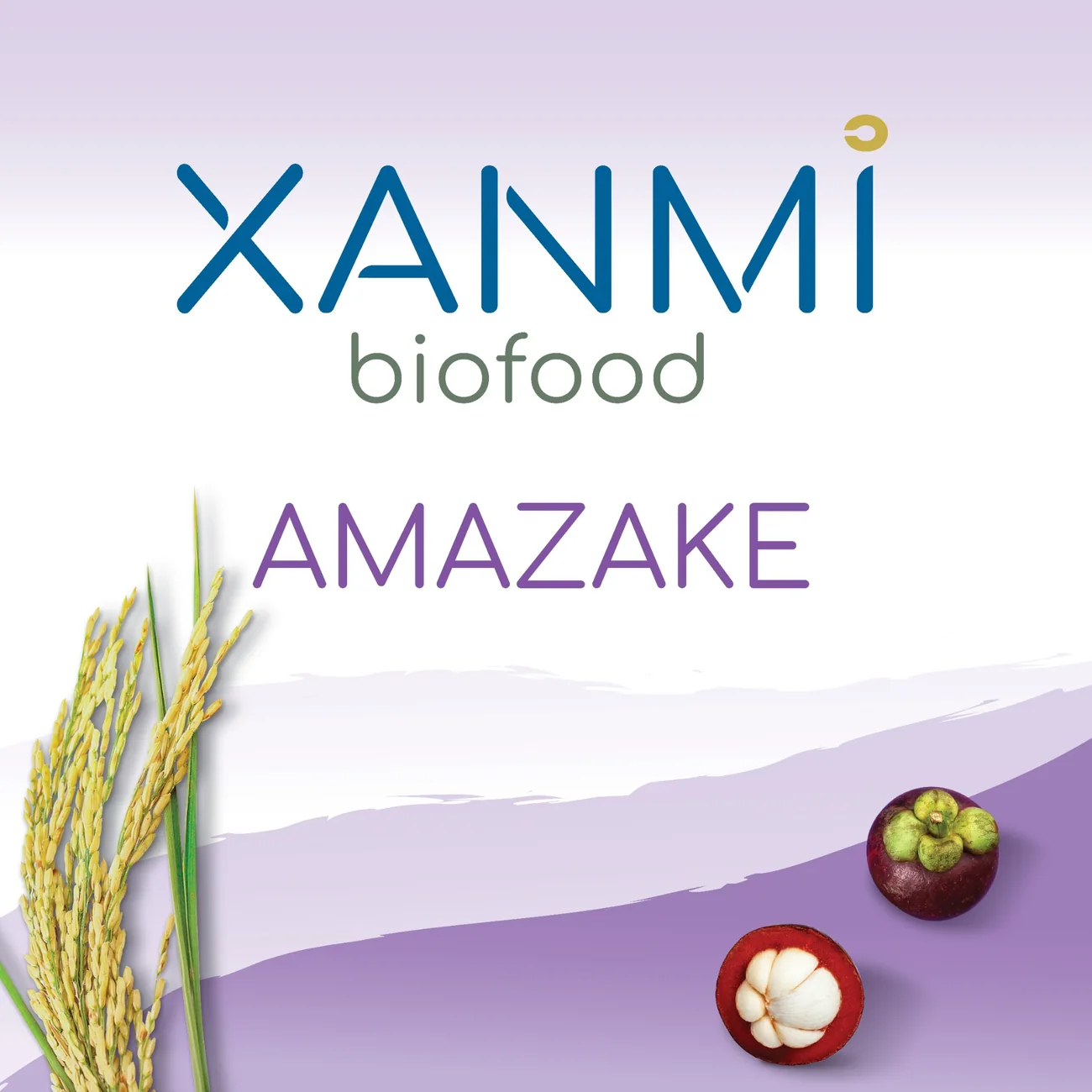 อัตลักษณ์แบรนด์ XANMI BIOFOOD